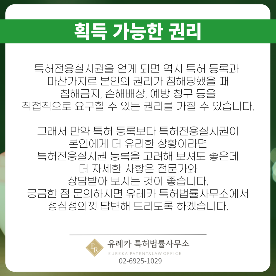 특허전용실시권